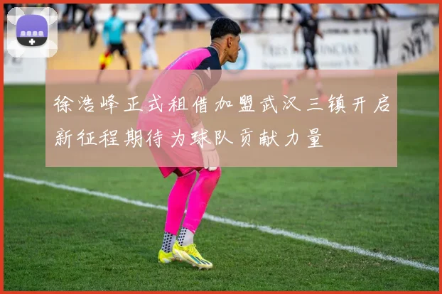 徐浩峰正式租借加盟武汉三镇开启新征程期待为球队贡献力量
