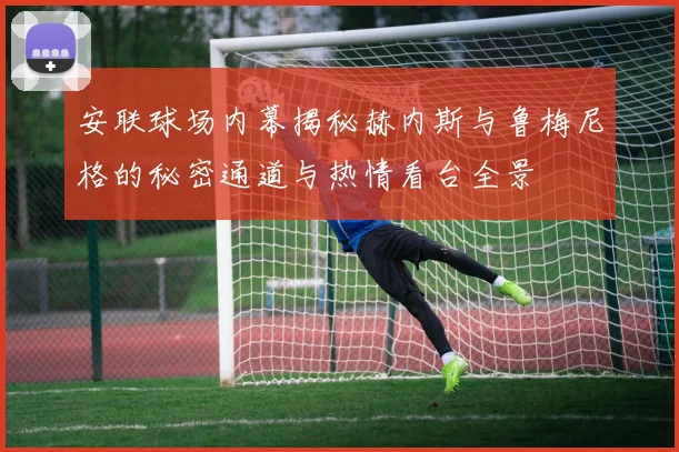 安联球场内幕揭秘赫内斯与鲁梅尼格的秘密通道与热情看台全景