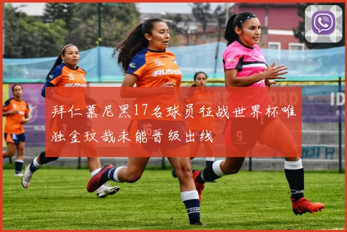 拜仁慕尼黑17名球员征战世界杯唯独金玟哉未能晋级出线